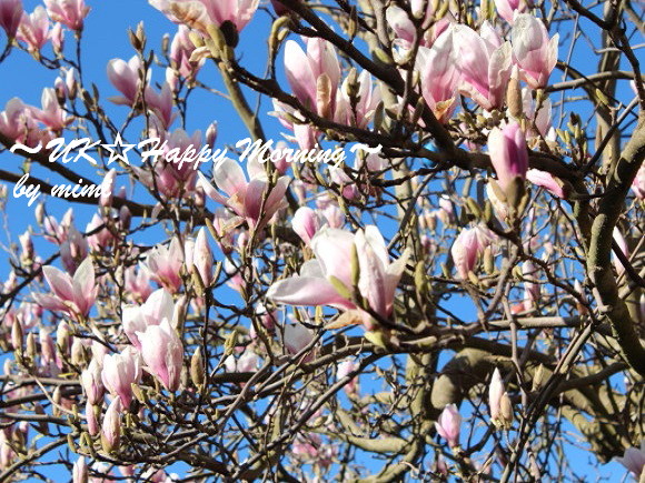 2012-04-04-3 2012-04-04-3