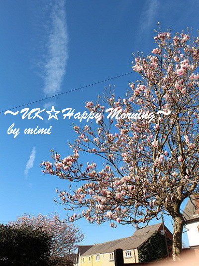 2012-04-04-4 2012-04-04-4