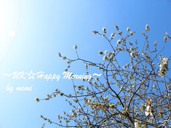 2012-04-05-4-1
