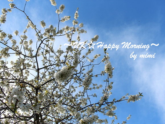 2012-04-11-1 2012-04-11-1