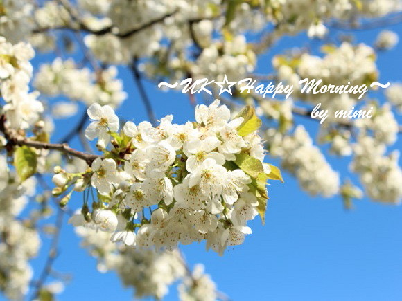 2012-04-11-2 2012-04-11-2