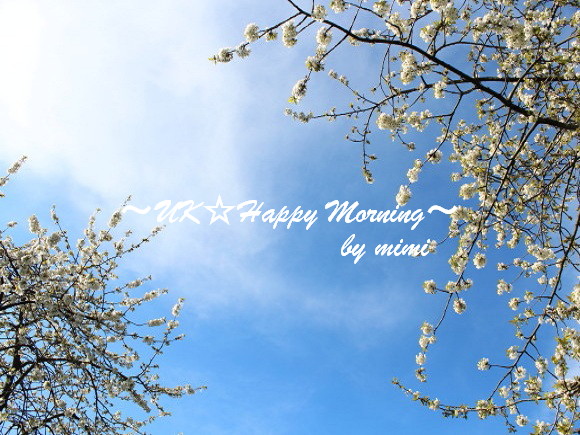 2012-04-11-3 2012-04-11-3