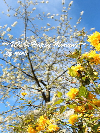 2012-04-11-4 2012-04-11-4