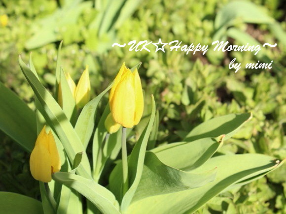 2012-04-15-1