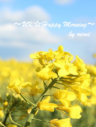 2012-04-22-1