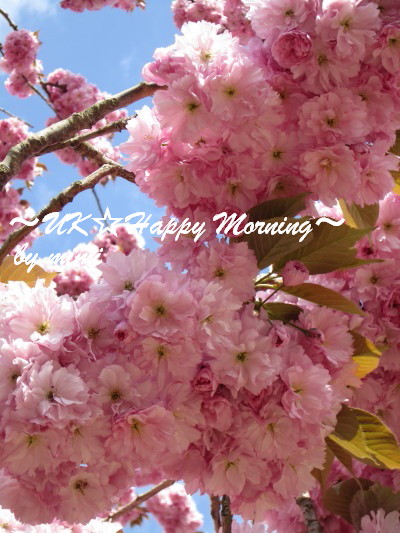 2012-04-25-3 2012-04-25-3