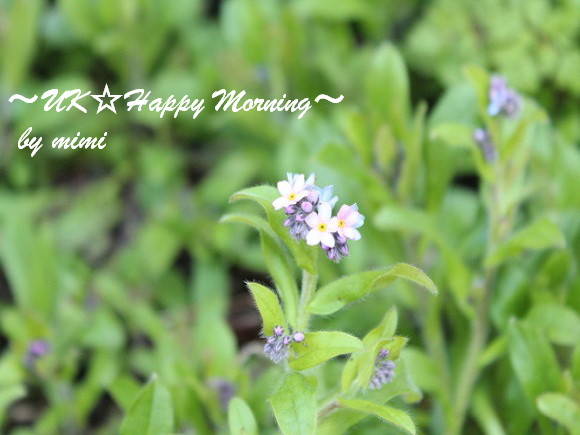 2012-05-01-1 2012-05-01-1