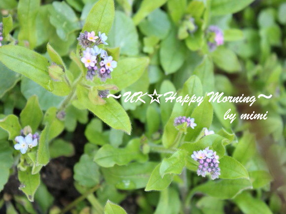 2012-05-01-2 2012-05-01-2