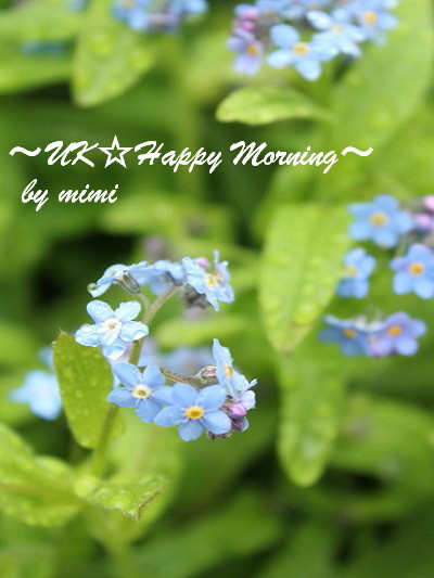 2012-05-02-2 2012-05-02-2