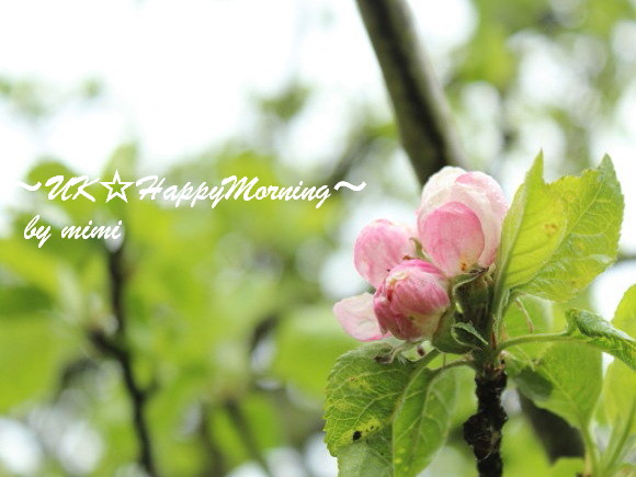 2012-05-03-1 2012-05-03-1
