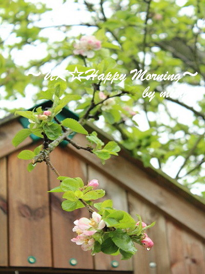 2012-05-03-2 2012-05-03-2