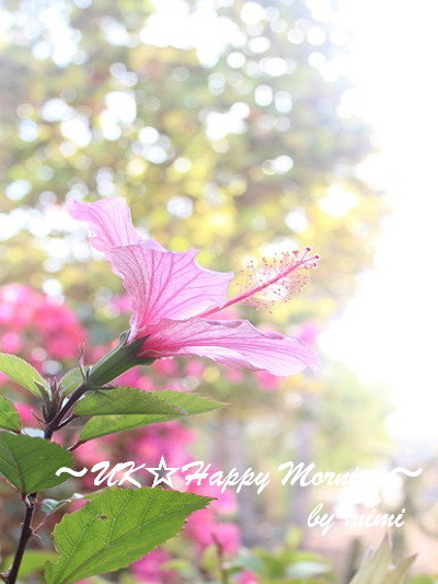 2012-05-04-1 2012-05-04-1