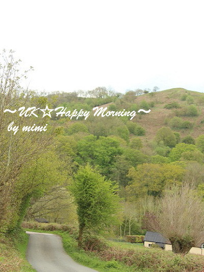 2012-05-08-3