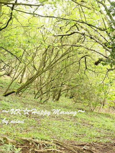 2012-05-10-2 2012-05-10-2