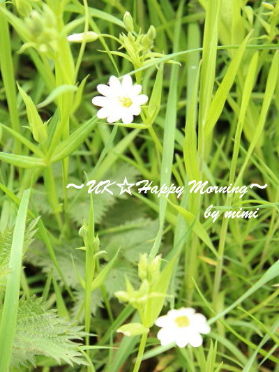 2012-05-10-3 2012-05-10-3