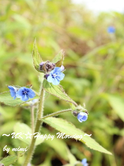 2012-05-10-4 2012-05-10-4