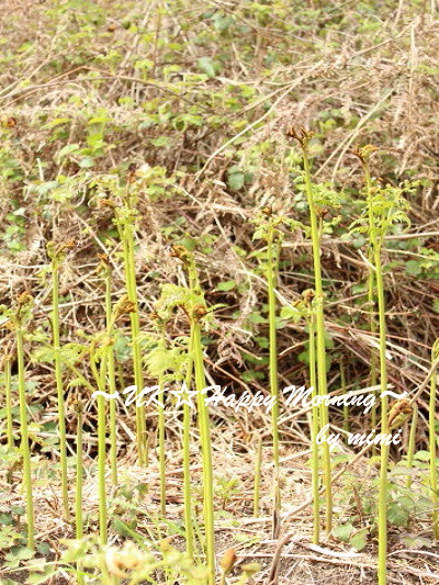2012-05-10-5 2012-05-10-5