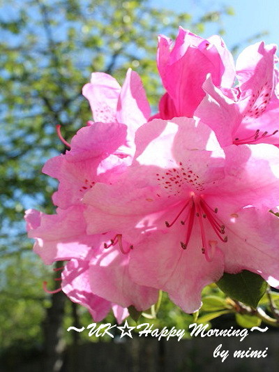2012-05-12-1 2012-05-12-1