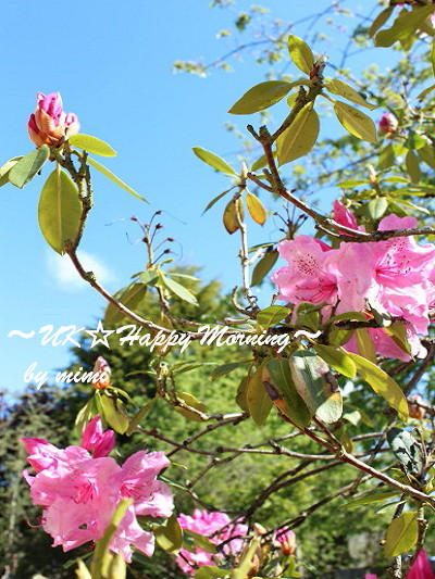 2012-05-12-2 2012-05-12-2