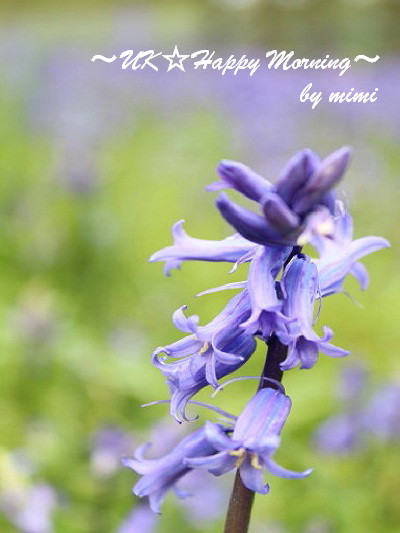 2012-05-13-1 2012-05-13-1
