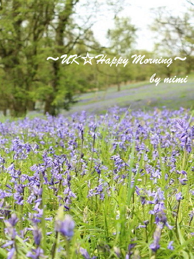 2012-05-13-3 2012-05-13-3
