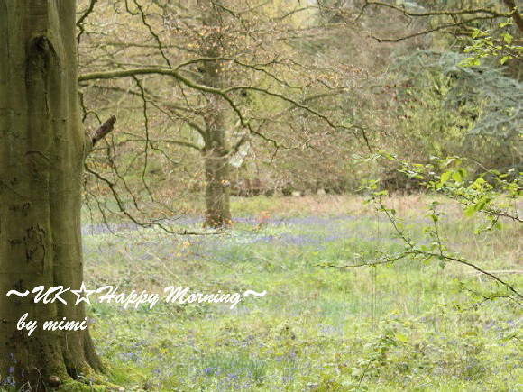 2012-05-13-4 2012-05-13-4