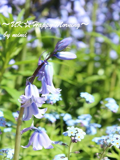 2012-05-14-1 2012-05-14-1