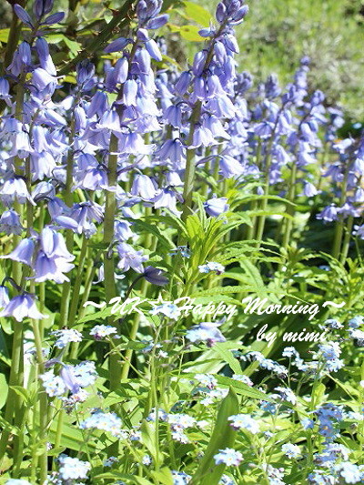 2012-05-14-2 2012-05-14-2