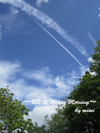 2012-05-15-2 2012-05-15-2