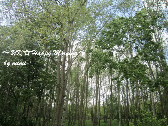 2012-05-15-3 2012-05-15-3