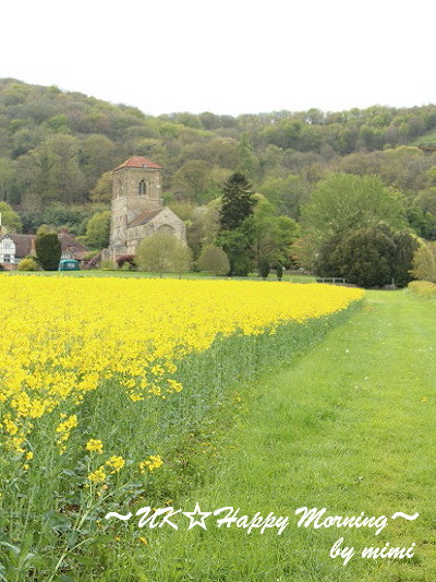 2012-05-16-3