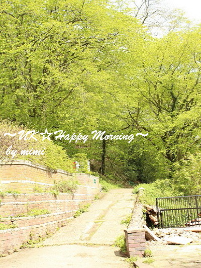 2012-05-17-3 2012-05-17-3