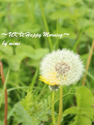2012-05-21-1 2012-05-21-1
