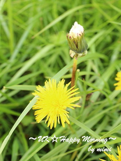 2012-05-21-2 2012-05-21-2
