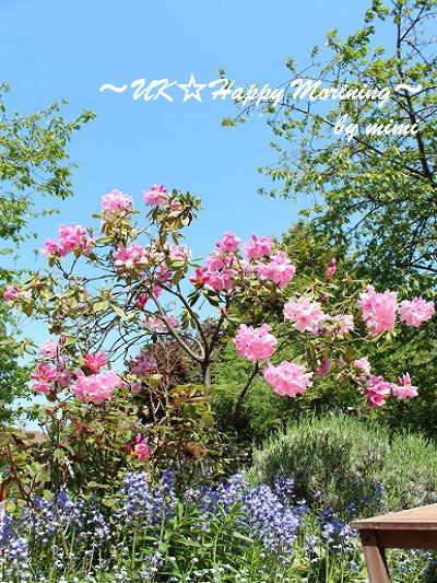 2012-05-22-2 2012-05-22-2