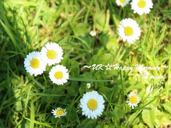 2012-05-22-3 2012-05-22-3
