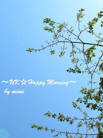 2012-05-23-1 2012-05-23-1