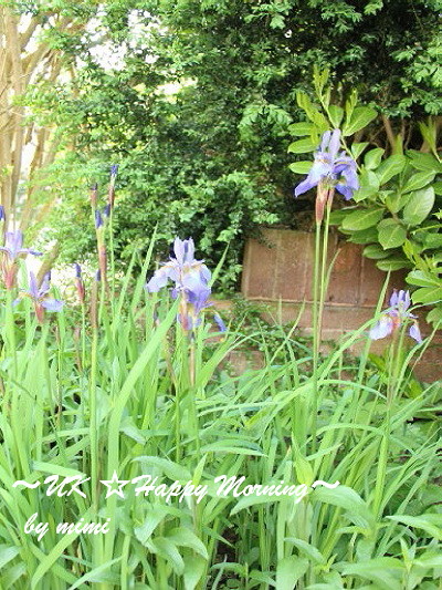 2012-05-26-2 2012-05-26-2