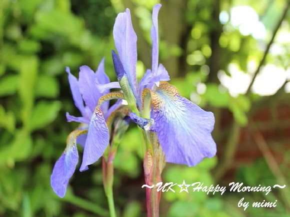 2012-05-26-3 2012-05-26-3