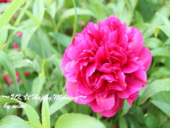 2012-05-31-1 2012-05-31-1