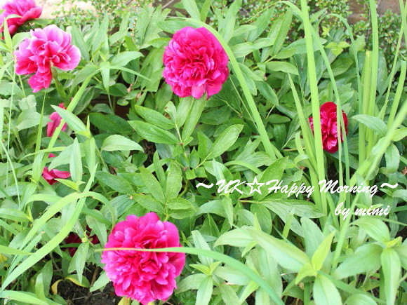 2012-05-31-2 2012-05-31-2