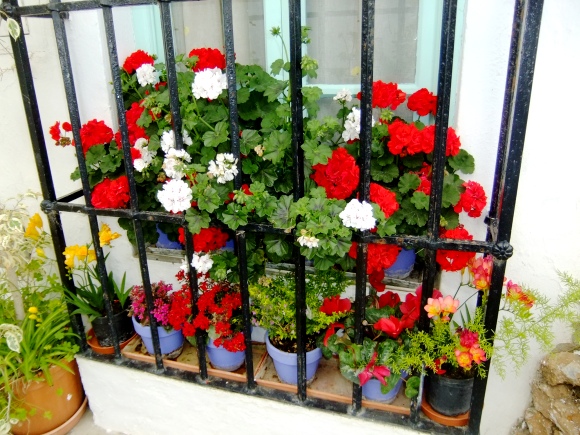 DSCF5820