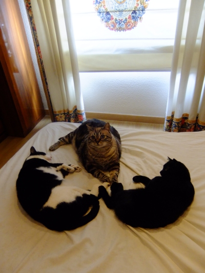 DSCF6202 DSCF6202