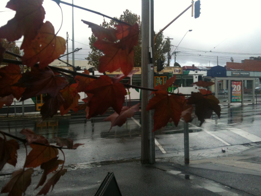 IMG_0562 IMG_0562