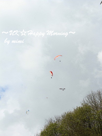 2012-06-08-1 2012-06-08-1