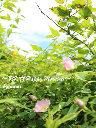 2012-06-19-4 2012-06-19-4