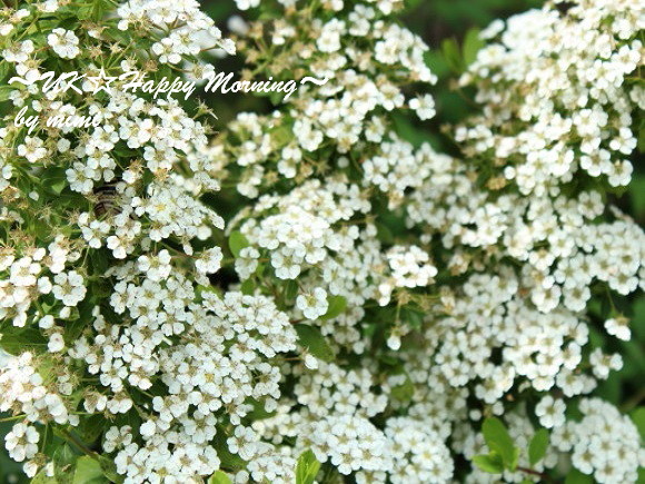 2012-06-20-1 2012-06-20-1
