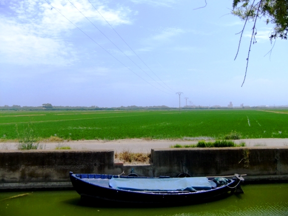 DSCF6479