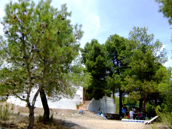 DSCF6516 DSCF6516