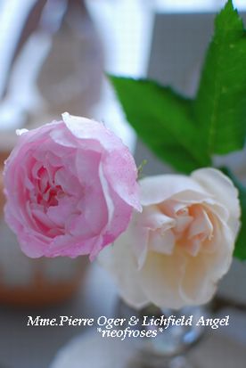 roses